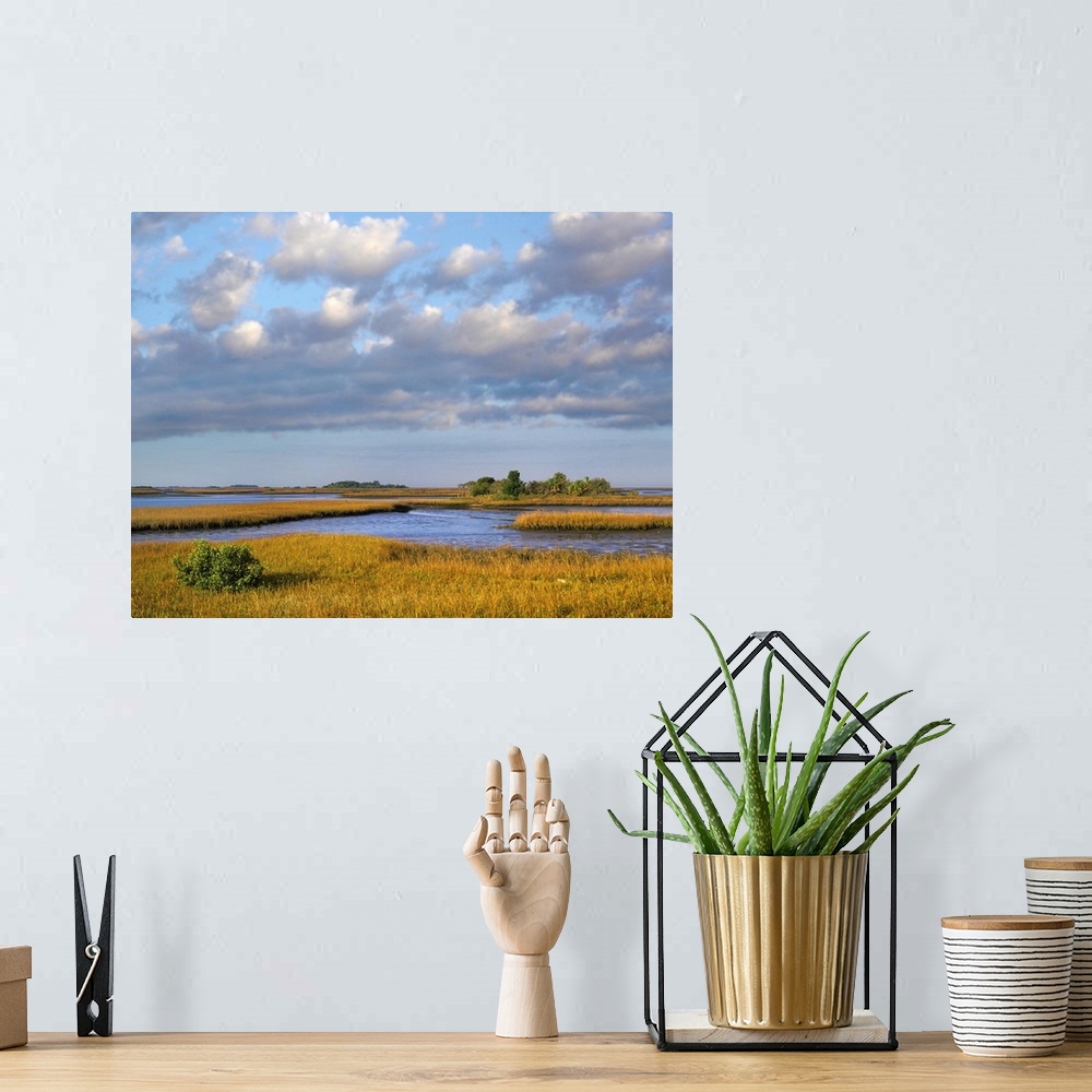 A bohemian room featuring Saltwater marshes at Cedar Key, Florida