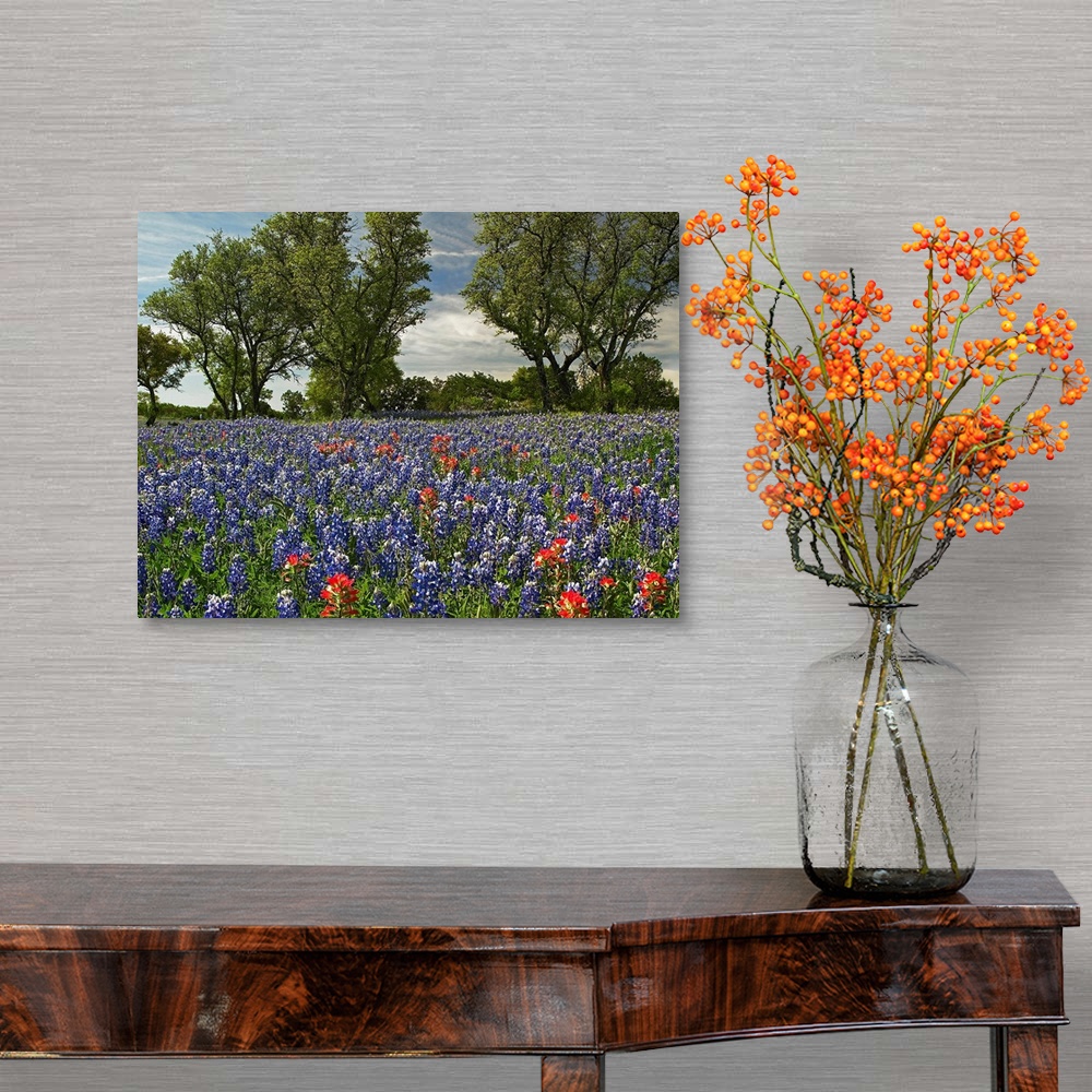 A traditional room featuring Huge photograph shows a field covered with brightly colored flowers extending throughout the enti...