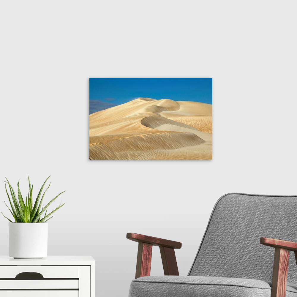A modern room featuring Sand Dune Cactus Beach South Australia