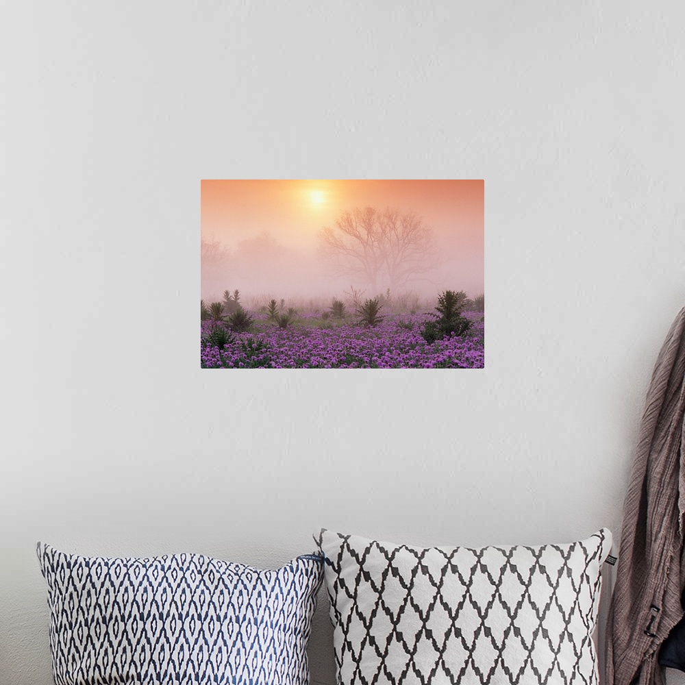A bohemian room featuring Photograph of flower meadow sprinkled with tall shrubs on a misty morning.  The silhouettes of la...