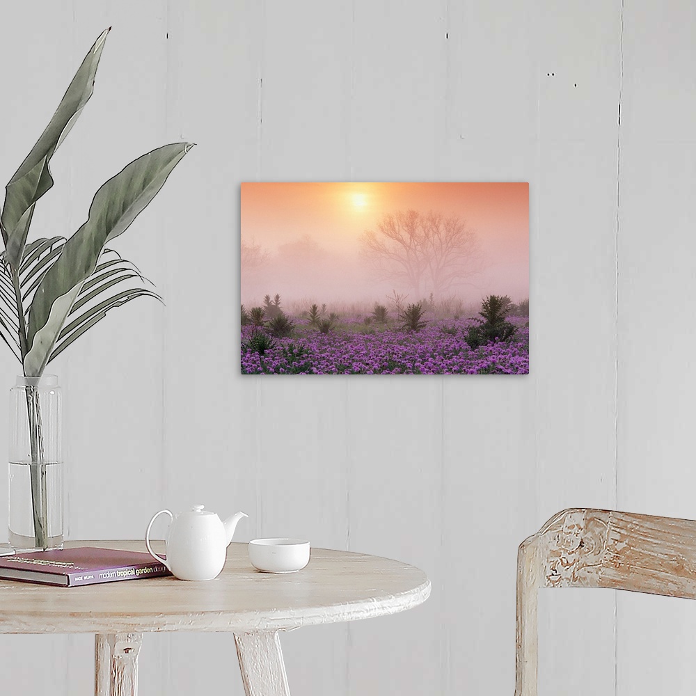 A farmhouse room featuring Photograph of flower meadow sprinkled with tall shrubs on a misty morning.  The silhouettes of la...