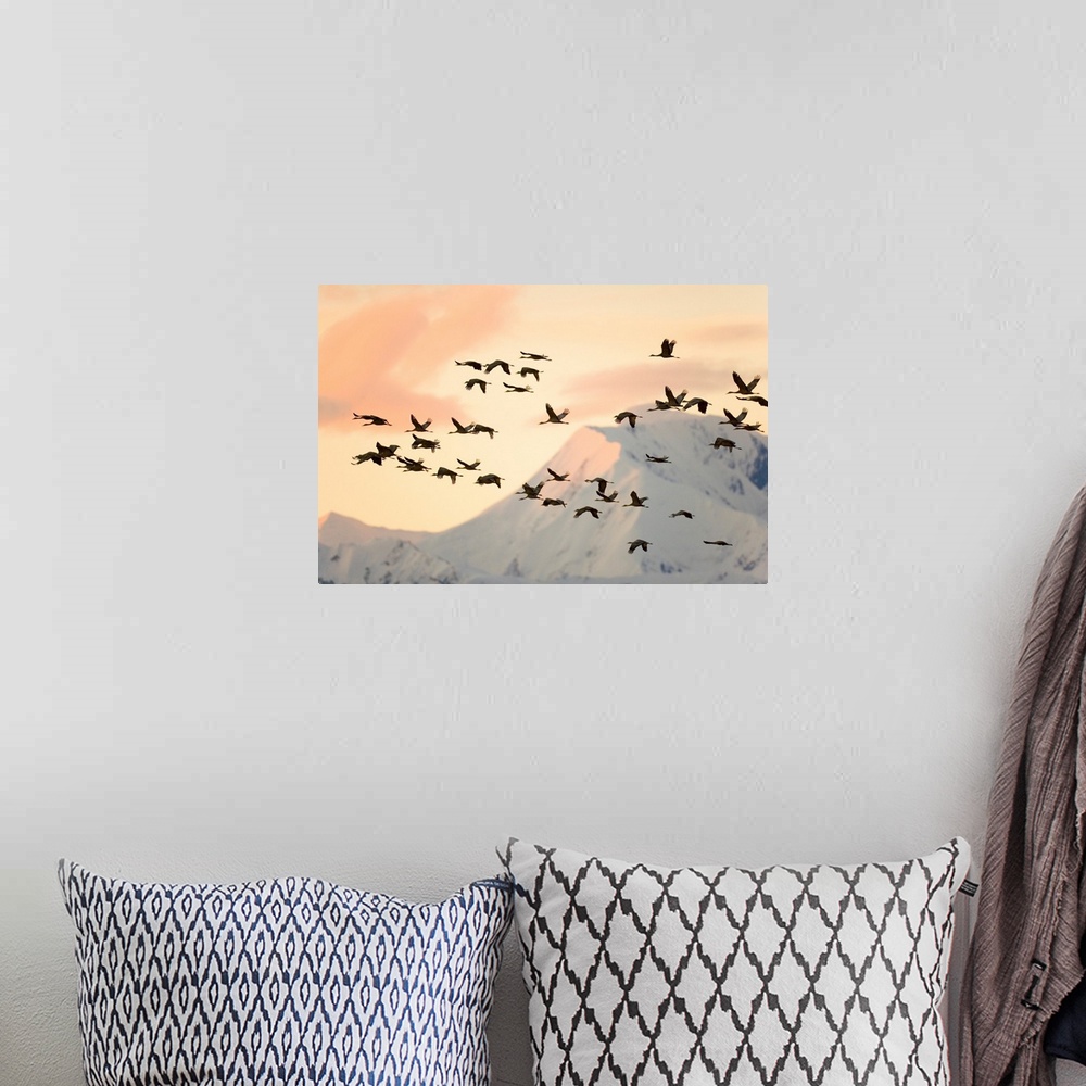 A bohemian room featuring Sandhill Cranes and Mt Denali at Sunrise