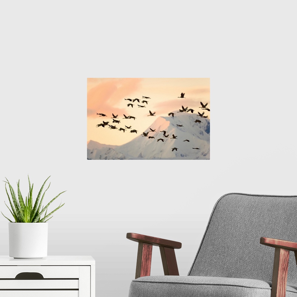 A modern room featuring Sandhill Cranes and Mt Denali at Sunrise