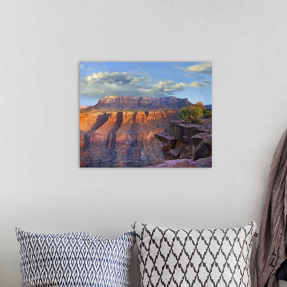 A bohemian room featuring Sandstone cliffs and canyon seen from Toroweap Overlook, Grand Canyon National Park, Arizona