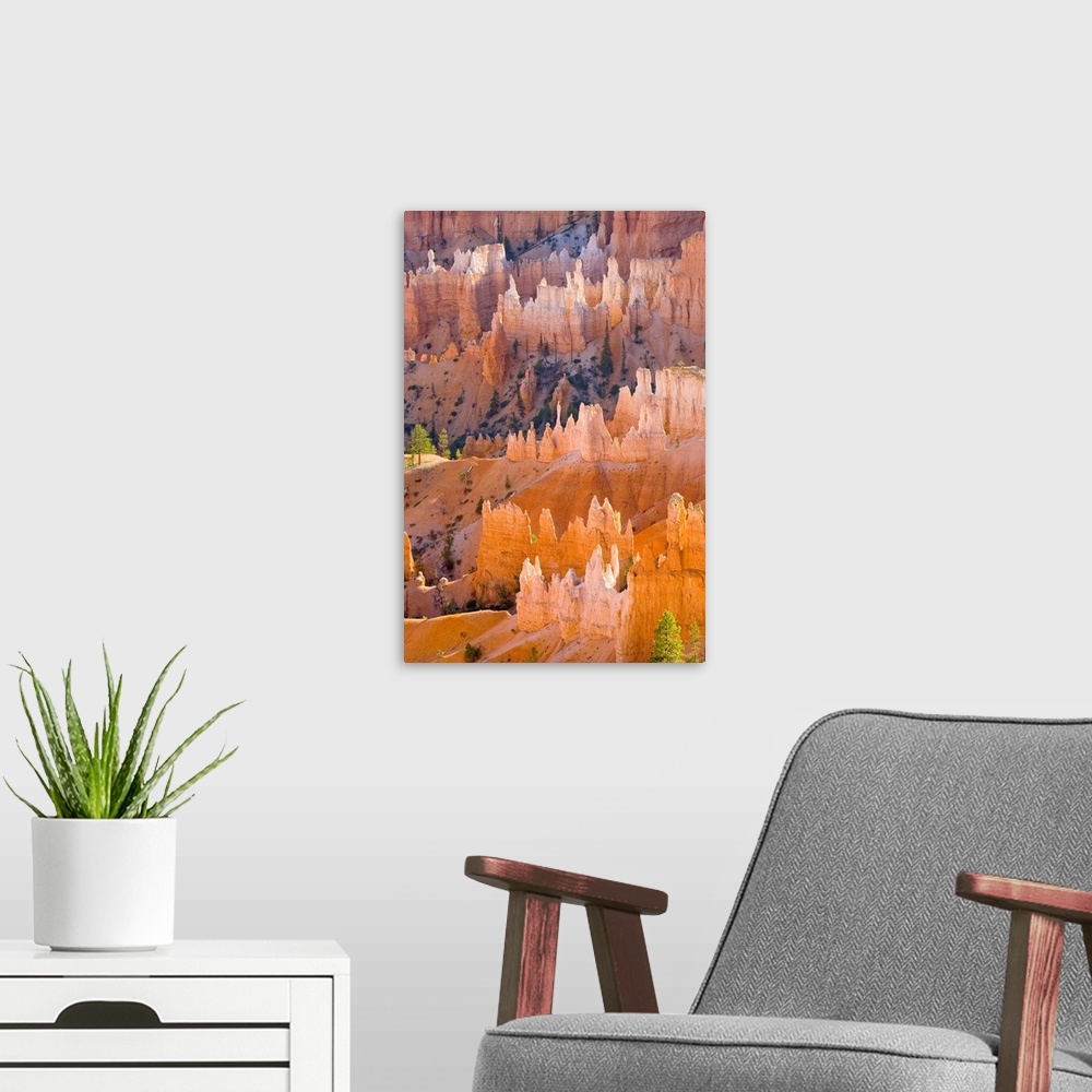 A modern room featuring Sandstone Hoodoos Bryce Canyon National Park, Utah