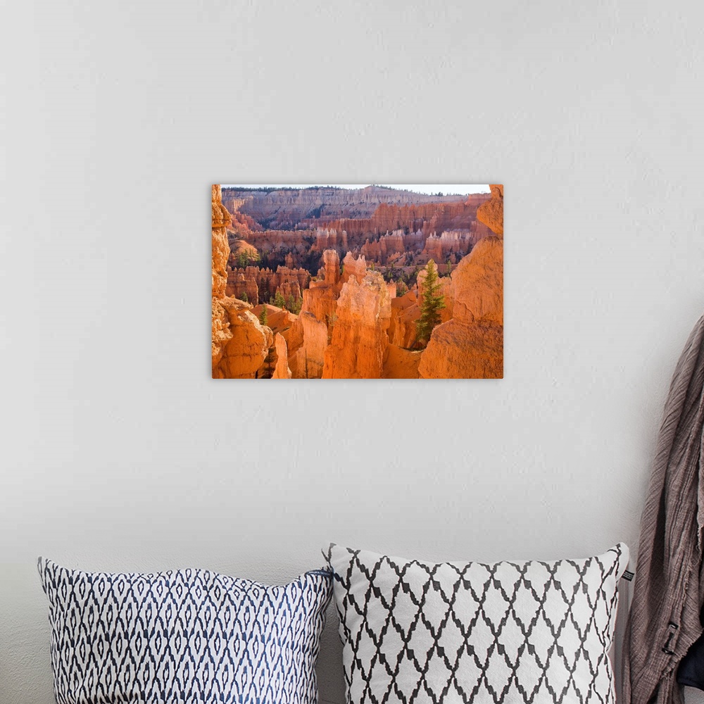 A bohemian room featuring Sandstone hoodoos, Bryce Canyon National Park, Utah