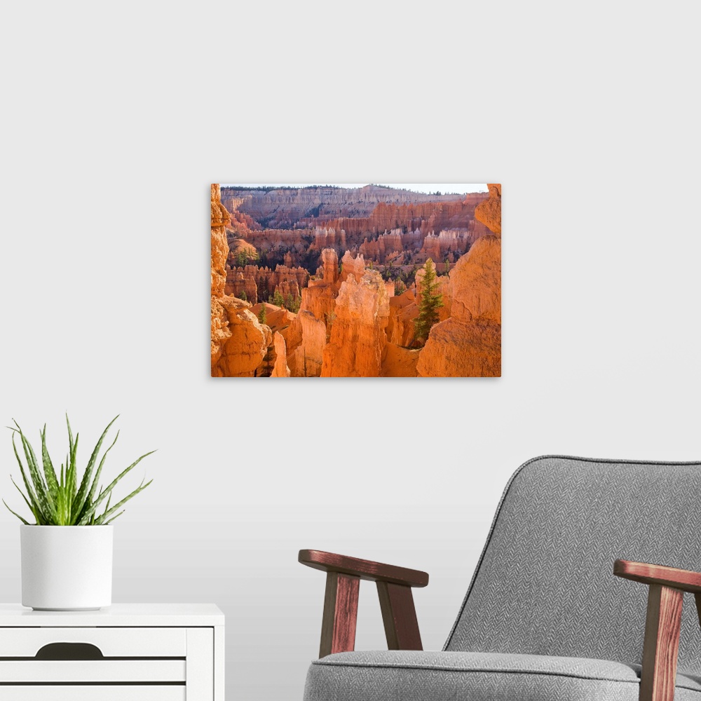 A modern room featuring Sandstone hoodoos, Bryce Canyon National Park, Utah