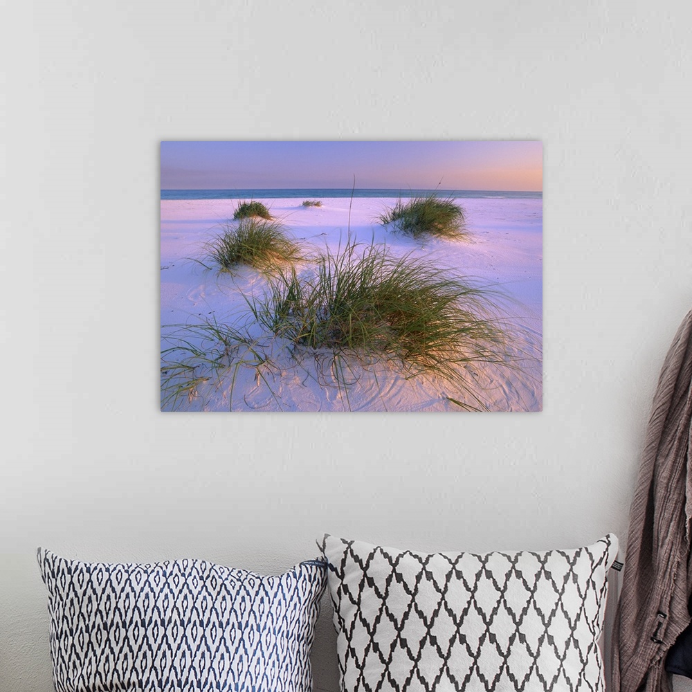 A bohemian room featuring Small clumps of sea grass grow in the fine white sand of this beach photograph ready for hanging ...