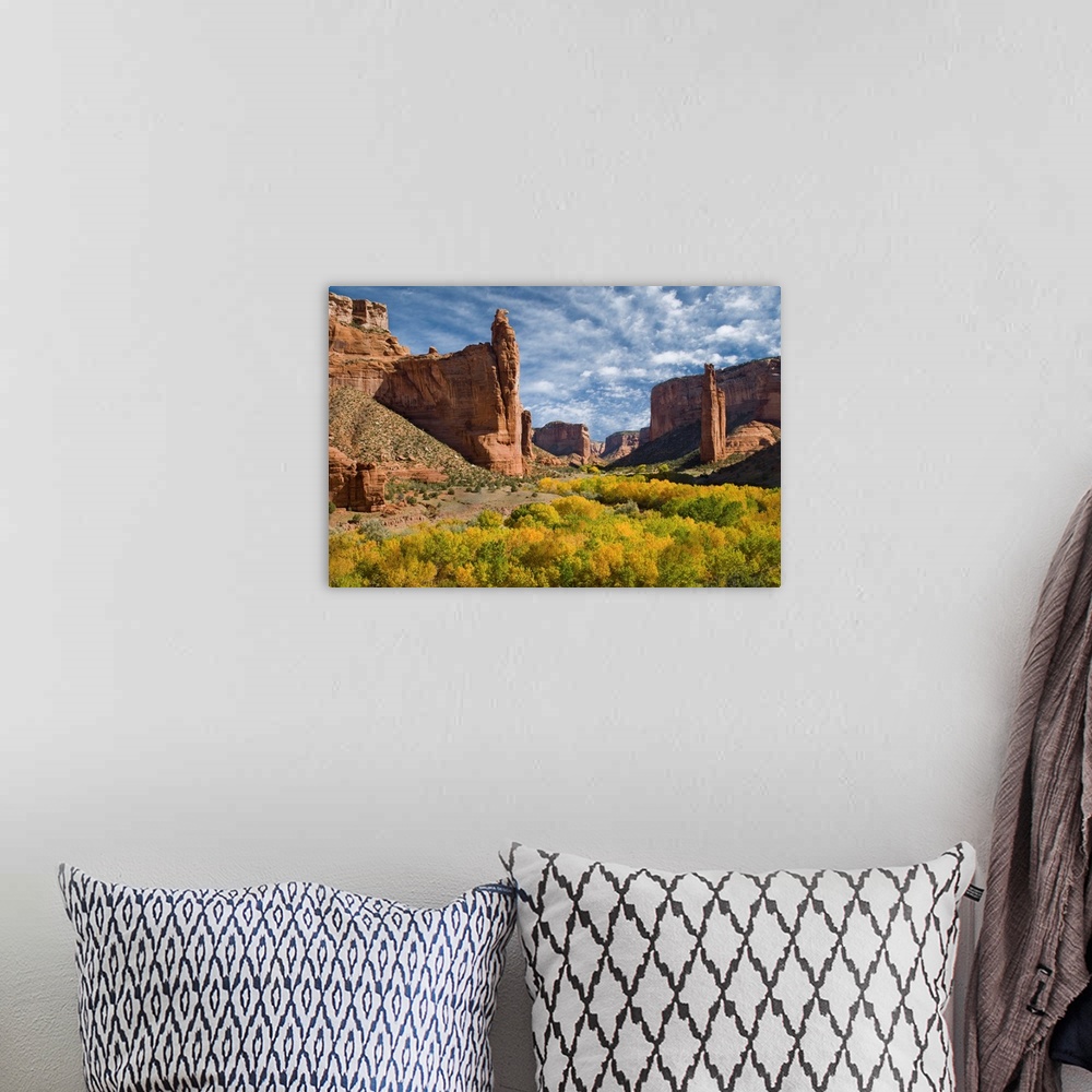 A bohemian room featuring Spider Rock and fall colored trees in river valley, Arizona