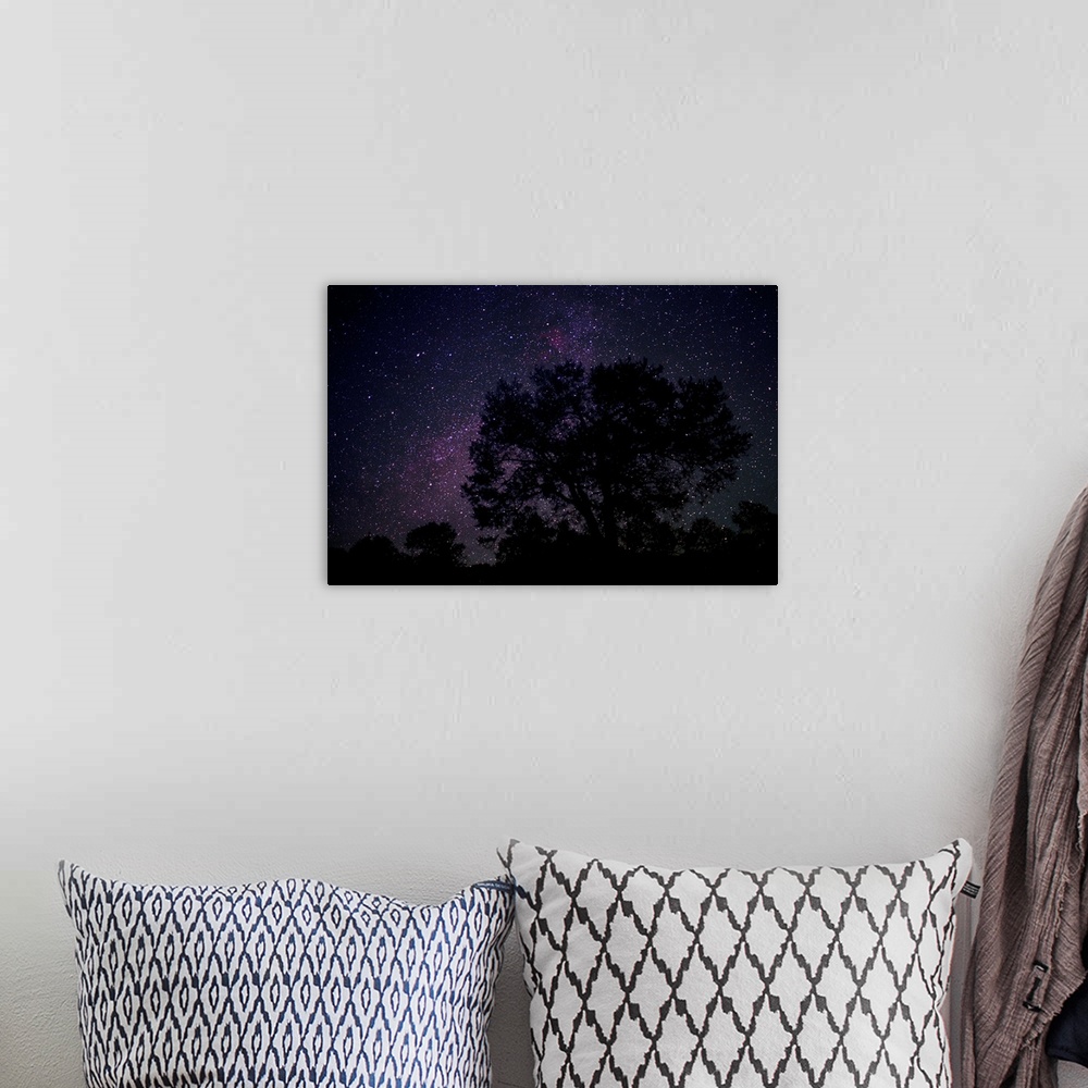 A bohemian room featuring Starry sky with silhouetted Oak tree