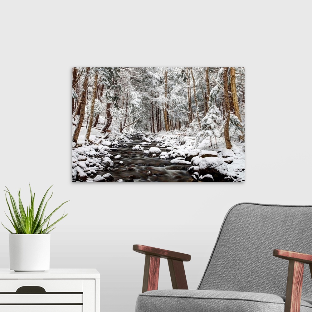 A modern room featuring Flowing creek surrounded by several round stones in a forest of thin evergreen trees, covered in ...