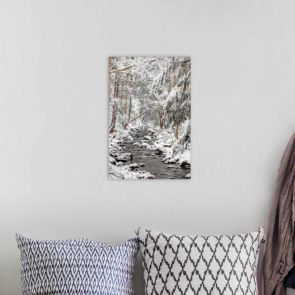 A bohemian room featuring stream in winter snow