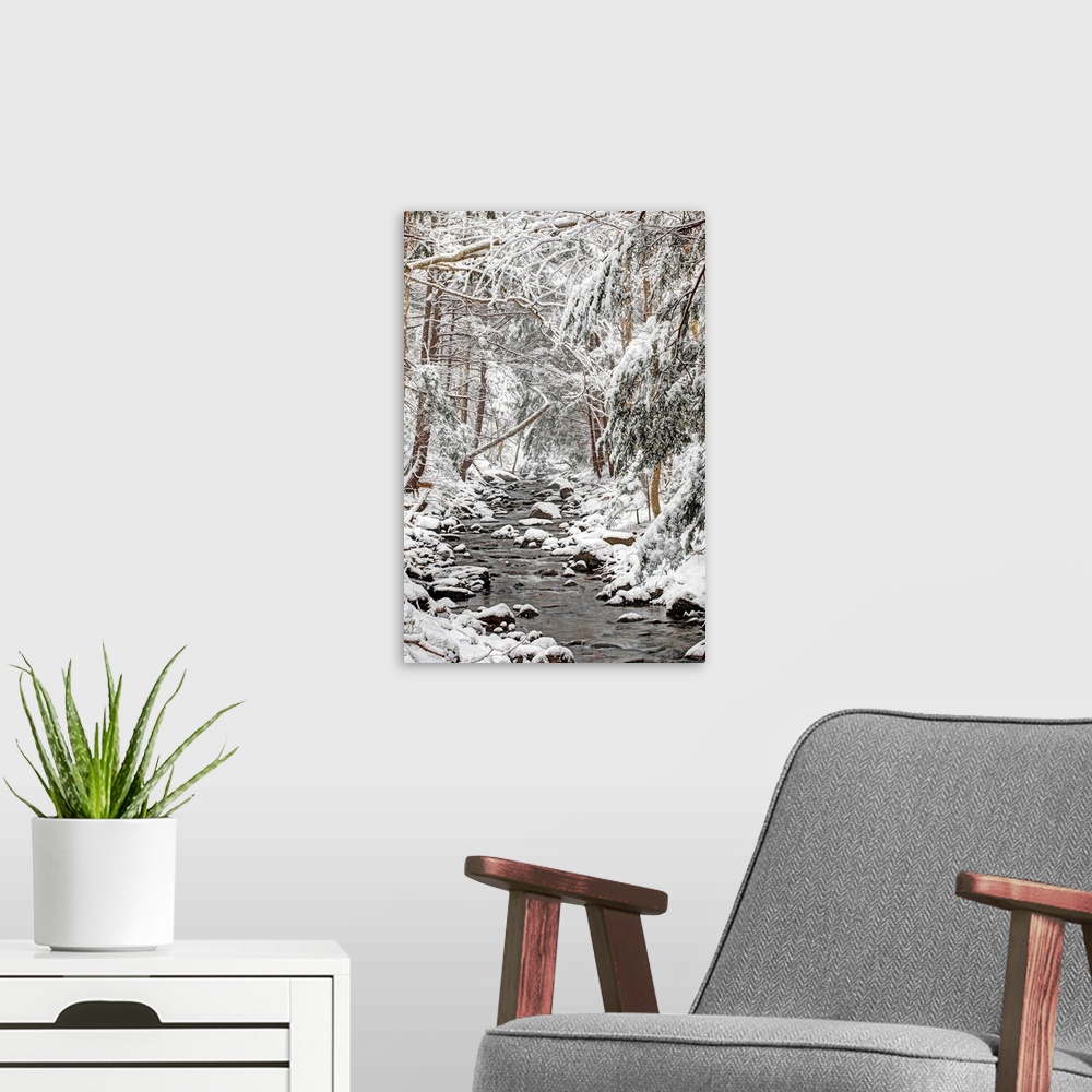 A modern room featuring stream in winter snow