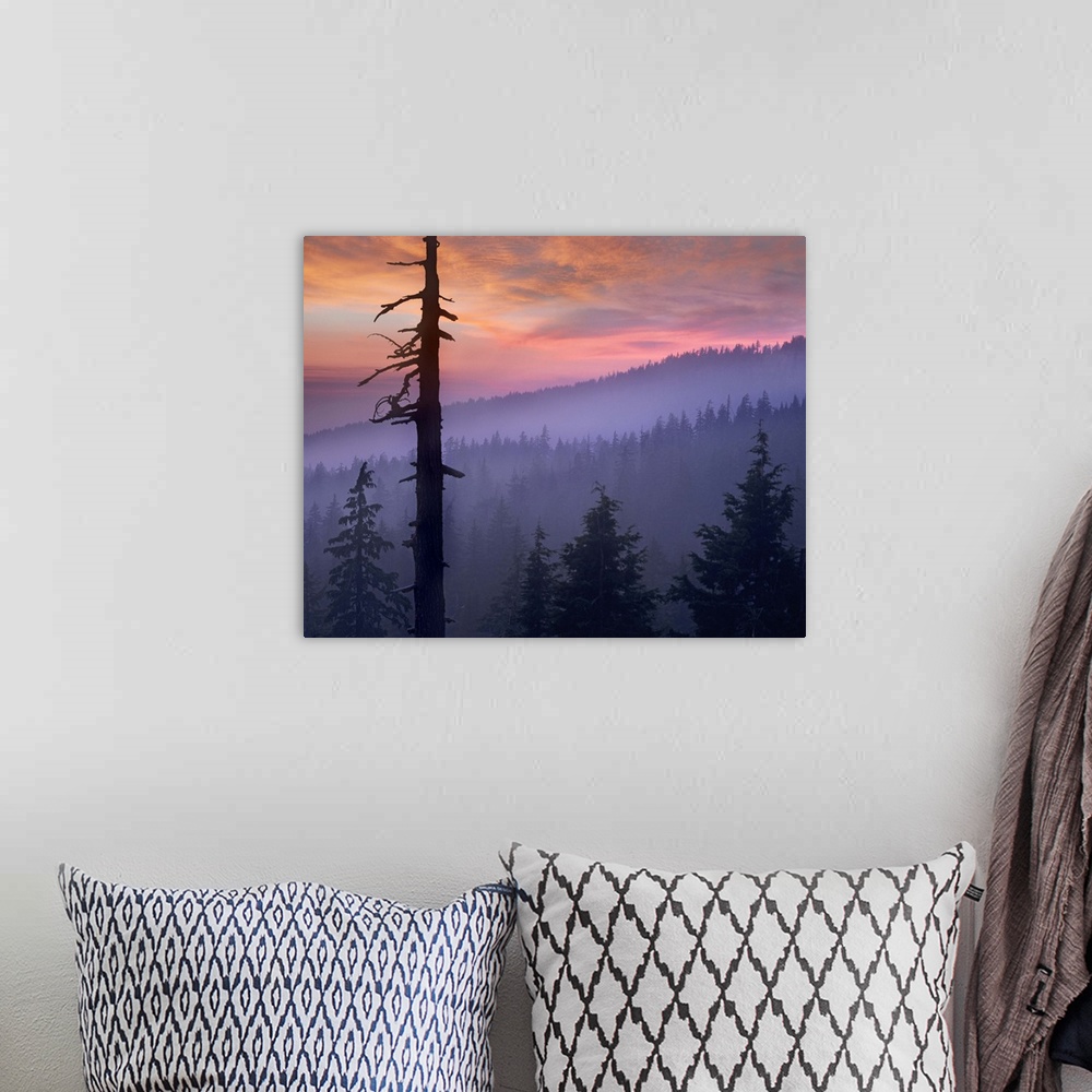 A bohemian room featuring Sunset over forest, Crater Lake National Park, Oregon
