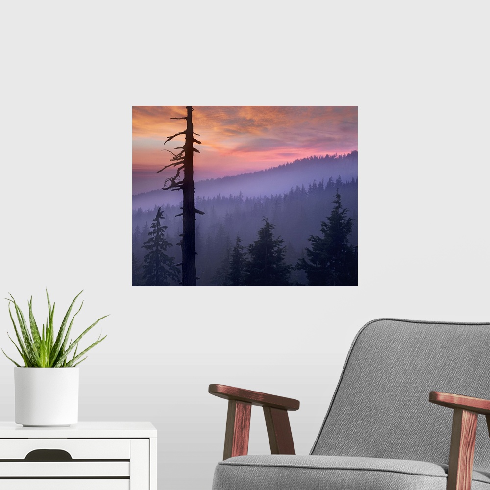 A modern room featuring Sunset over forest, Crater Lake National Park, Oregon