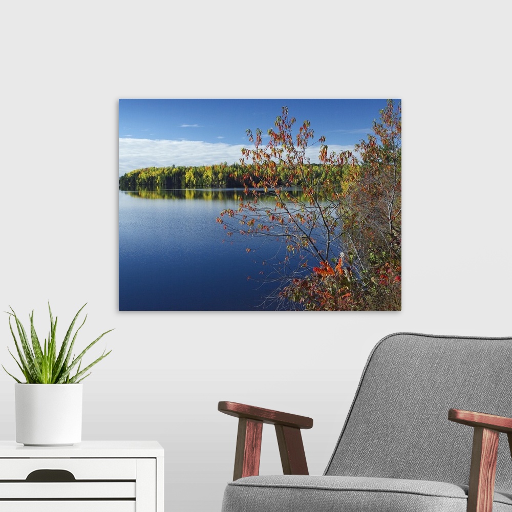 A modern room featuring Tobique River, New Brunswick, Canada