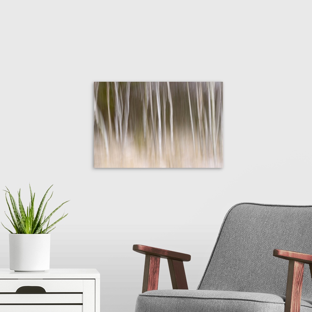 A modern room featuring Big, landscape photograph of trees in the snow that appear as blurred white vertical lines on a b...