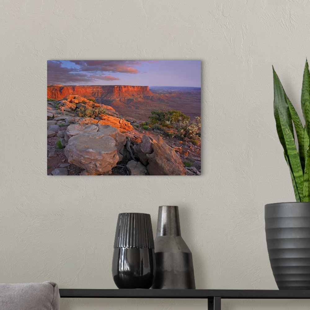 A modern room featuring View from the Green River Overlook, Canyonlands National Park, Utah