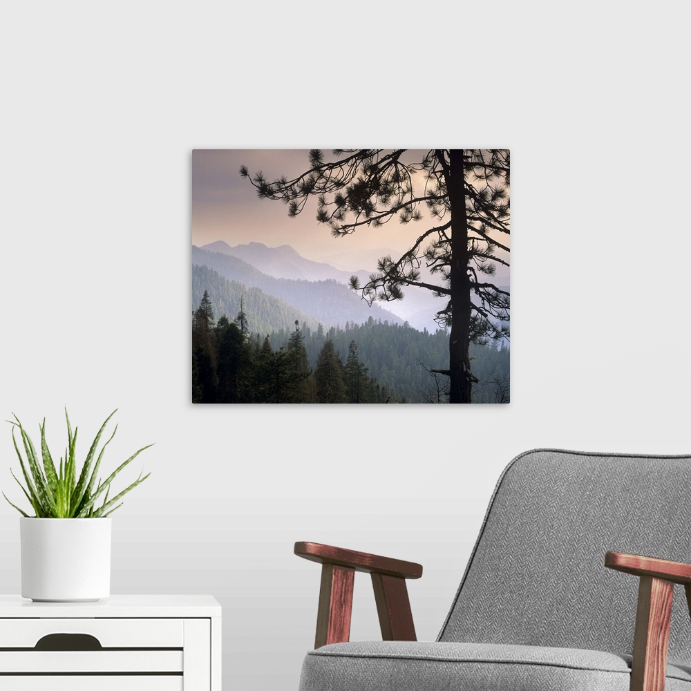 A modern room featuring View over foothills to the west from Kings Canyon National Park, California
