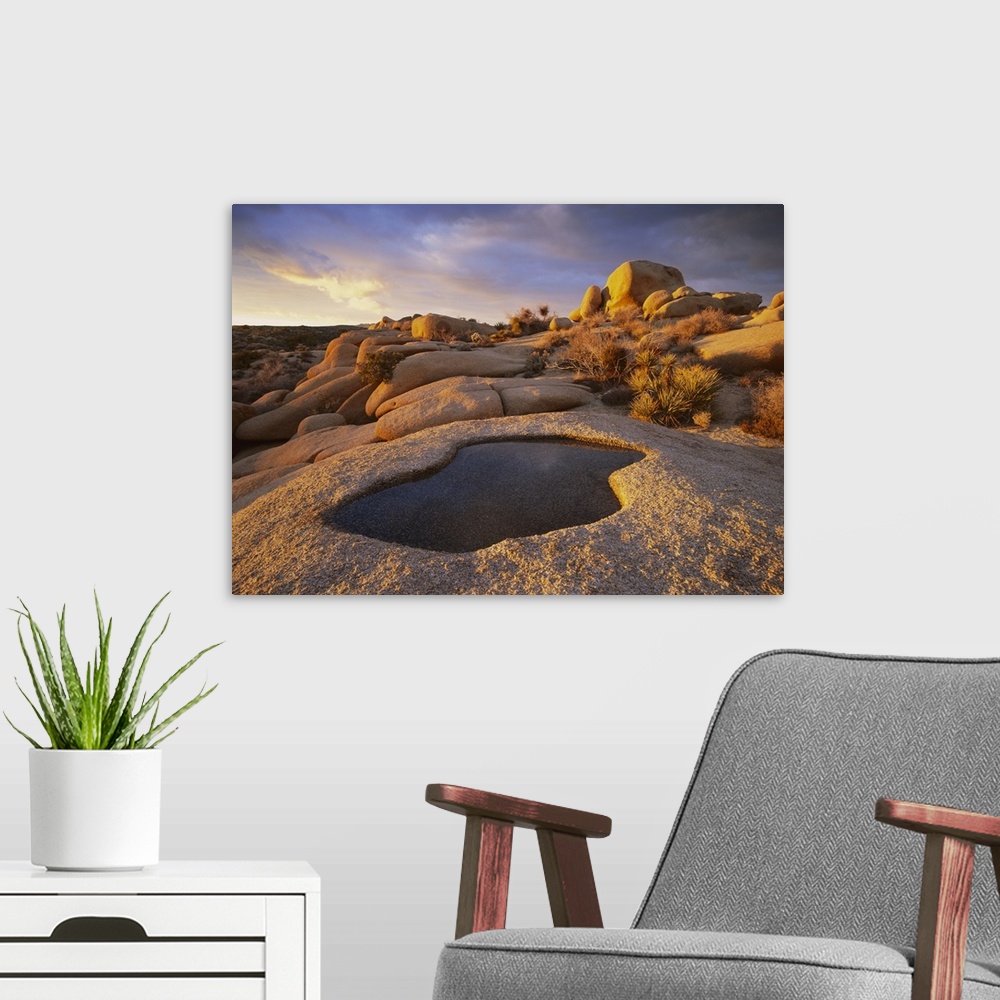 A modern room featuring Water that has collected in a boulder, Joshua Tree National Park, California