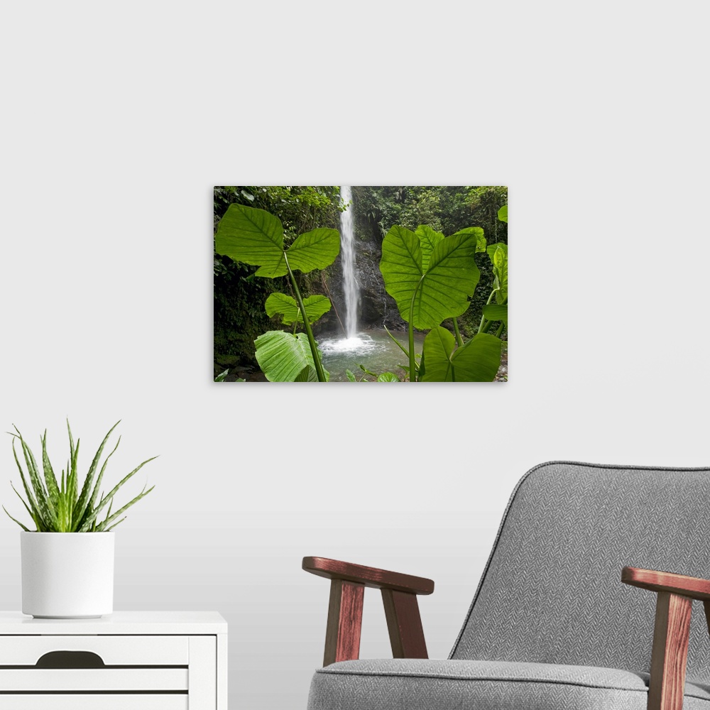 A modern room featuring Big canvas print of water falling from a stream in a tropical forest.