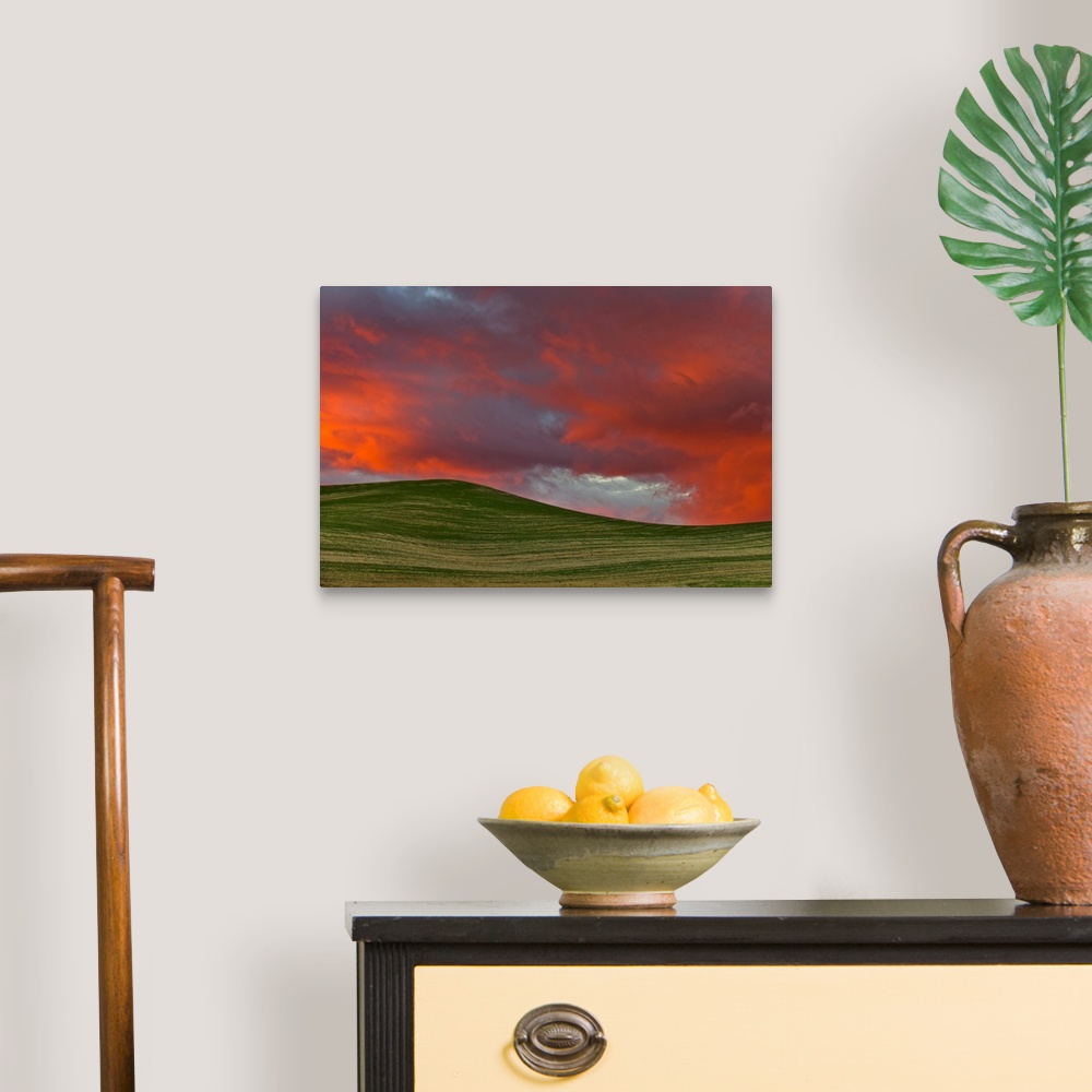 A traditional room featuring Wheat Field at Sunset Palouse Hills Washington