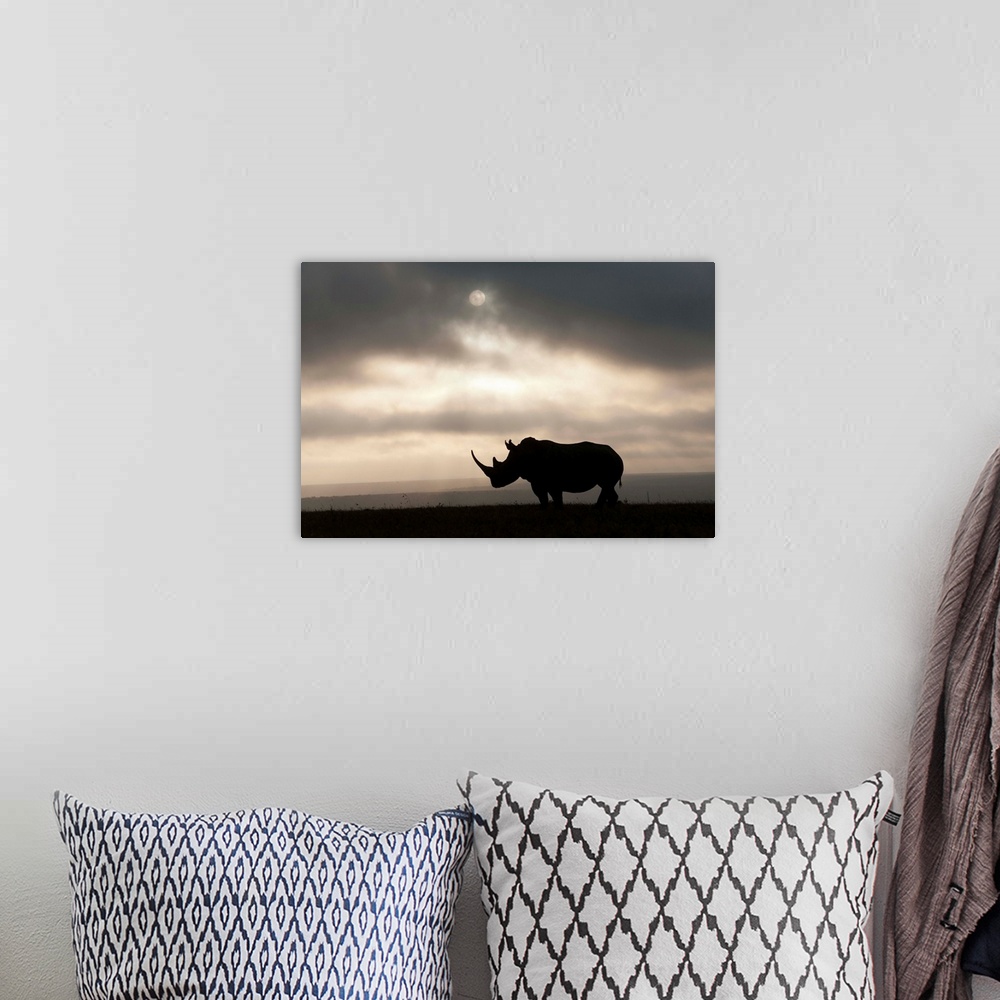 A bohemian room featuring White Rhinoceros at sunset, Solio Game Reserve, Kenya
