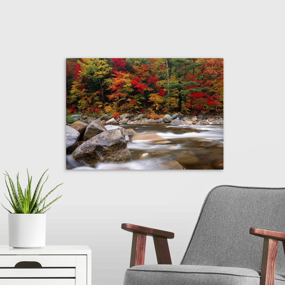 A modern room featuring A time lapsed photograph of a boulder filed river with New England autumn trees growing on the sh...