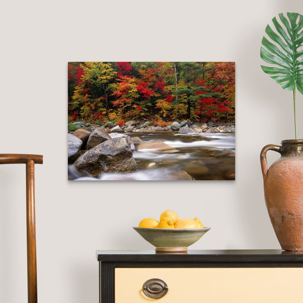A traditional room featuring A time lapsed photograph of a boulder filed river with New England autumn trees growing on the sh...