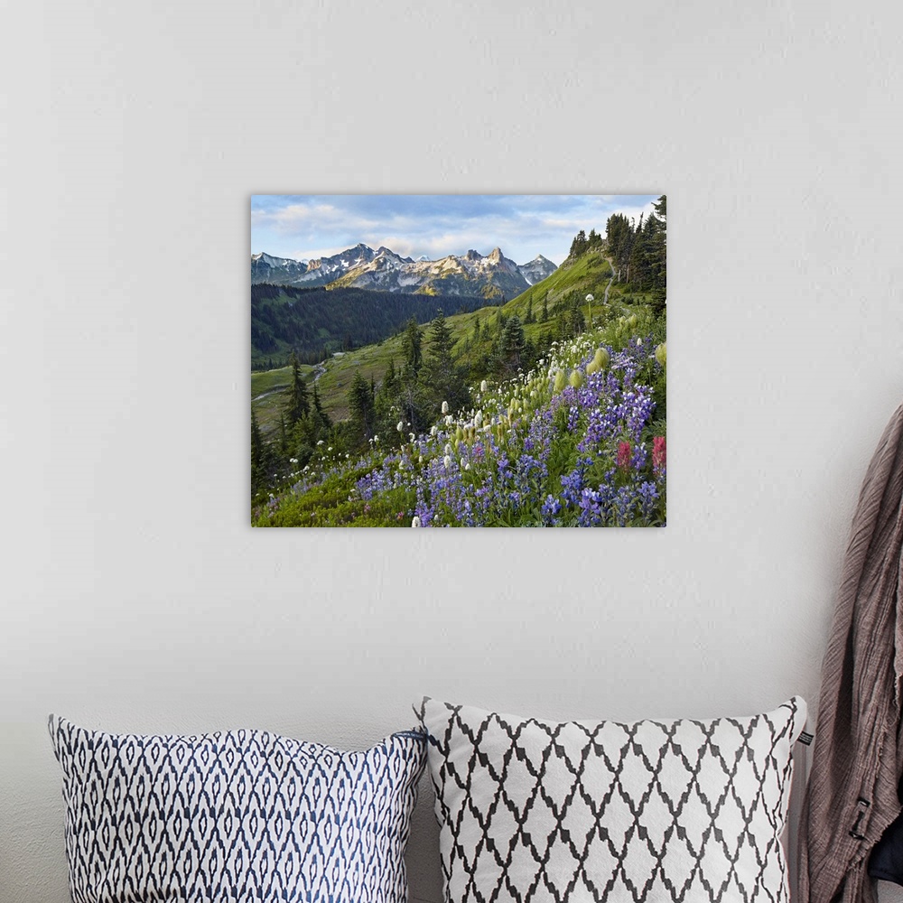 A bohemian room featuring Wildflowers and Tatoosh Range, Mount Rainier National Park, Washington