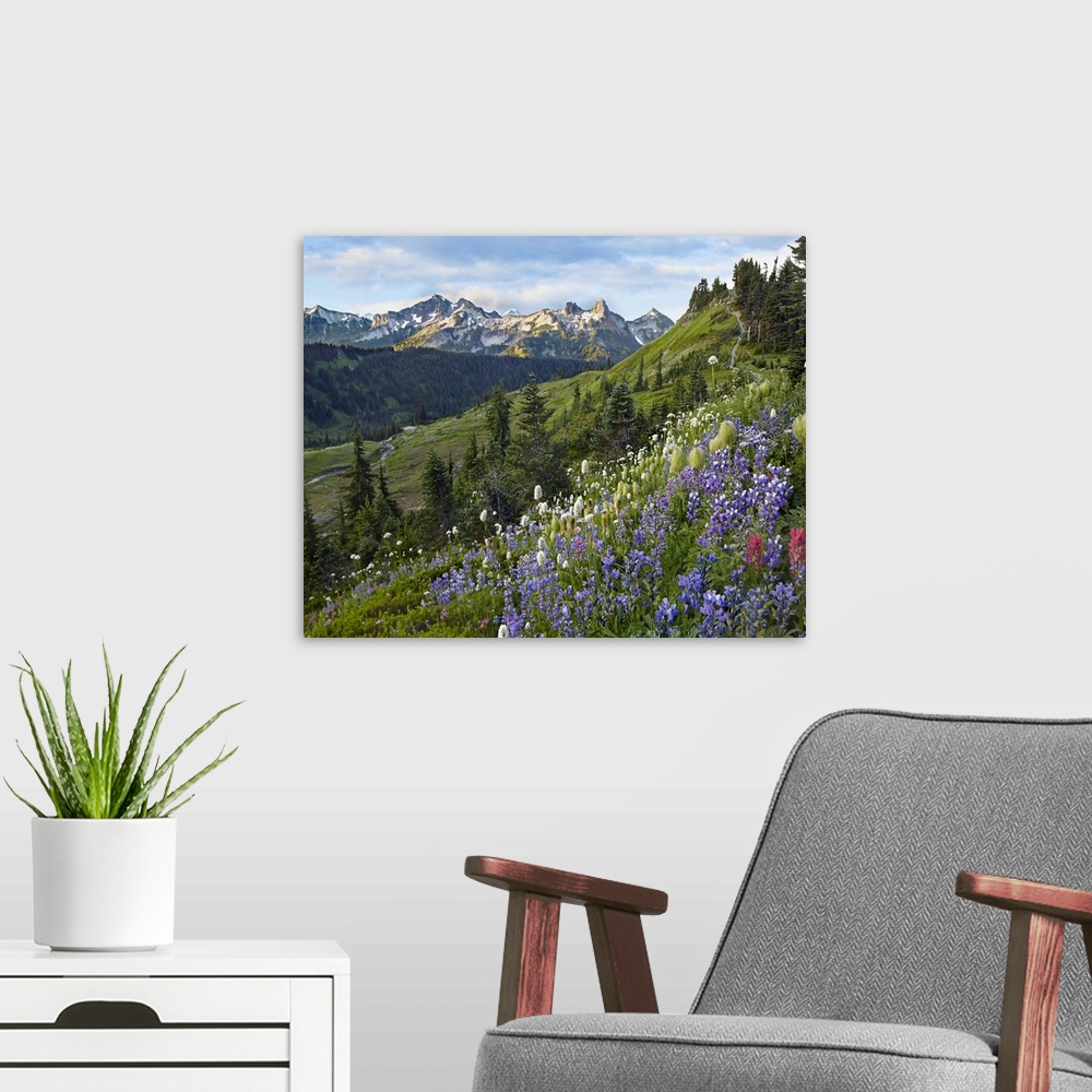 A modern room featuring Wildflowers and Tatoosh Range, Mount Rainier National Park, Washington