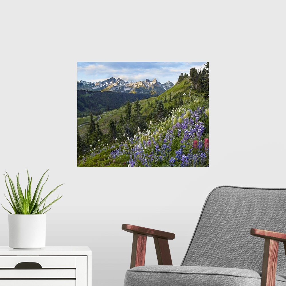 A modern room featuring Wildflowers and Tatoosh Range, Mount Rainier National Park, Washington