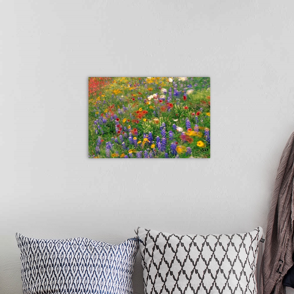 A bohemian room featuring Photograph of brightly colored flowers and tall grass swaying in the breeze with a blurred effect.