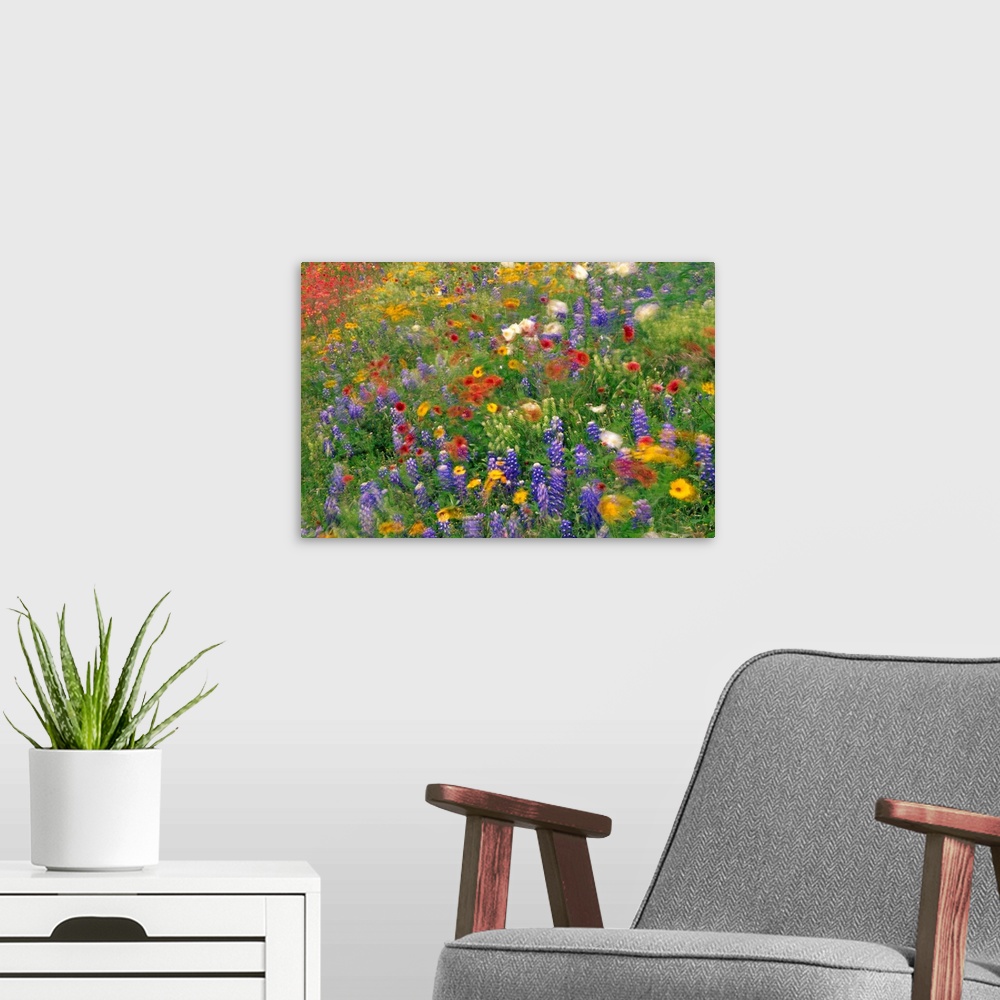 A modern room featuring Photograph of brightly colored flowers and tall grass swaying in the breeze with a blurred effect.
