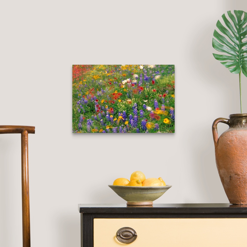 A traditional room featuring Photograph of brightly colored flowers and tall grass swaying in the breeze with a blurred effect.