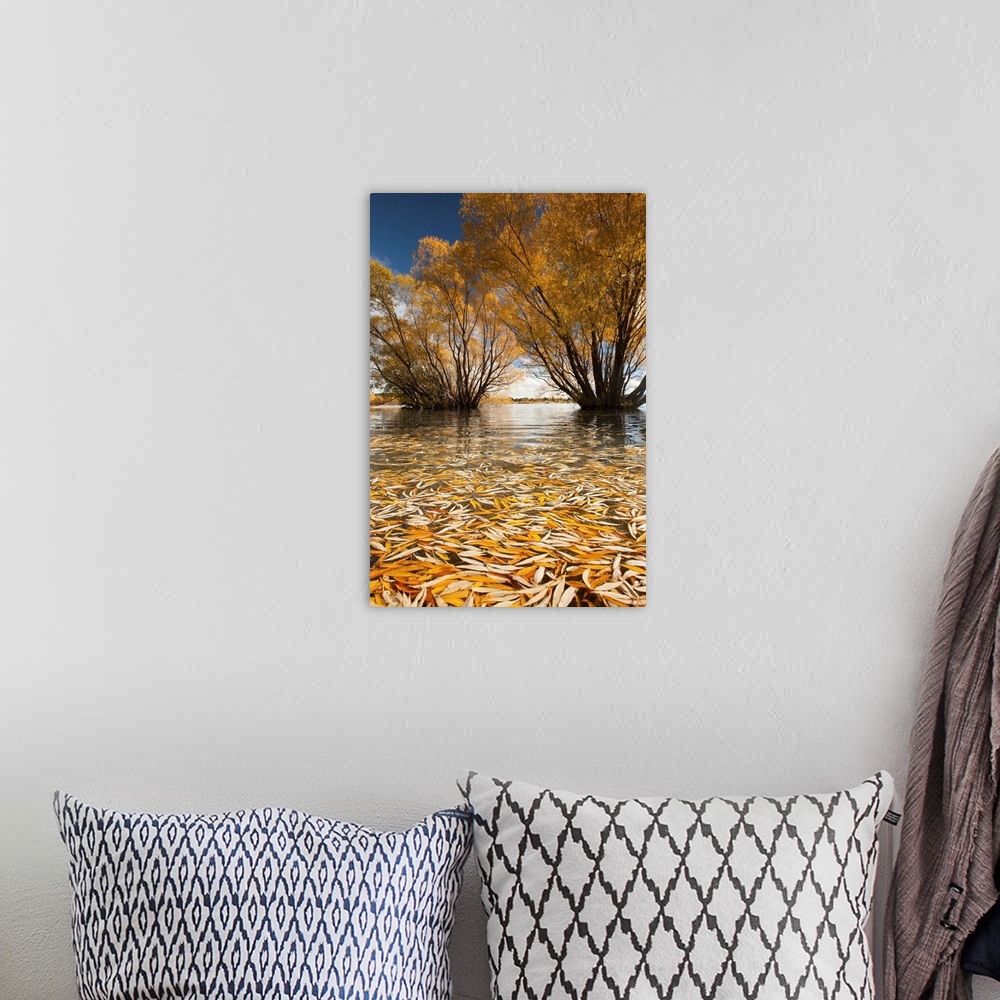 A bohemian room featuring Willow trees, autumn sunshine, Lake Tekapo, Mackenzie Country, New Zealand