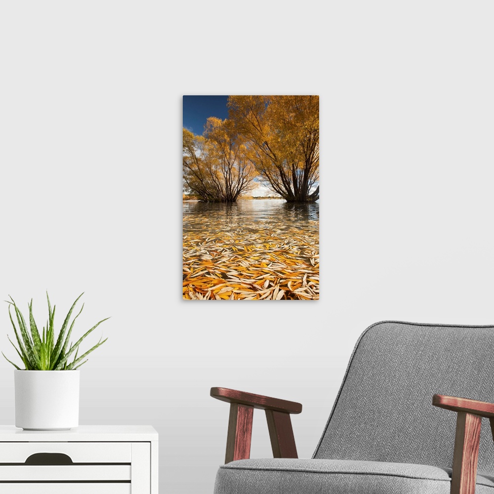 A modern room featuring Willow trees, autumn sunshine, Lake Tekapo, Mackenzie Country, New Zealand