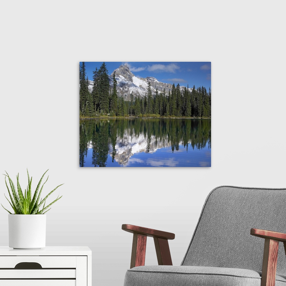A modern room featuring Wiwaxy Peaks and Cathedral Mountain at Lake O'Hara, Canada
