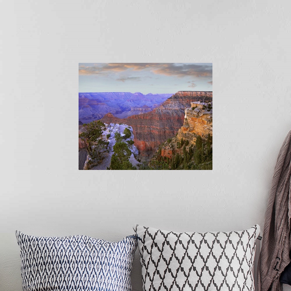 A bohemian room featuring Photograph of gorge under a cloudy sky with tree tops in foreground.