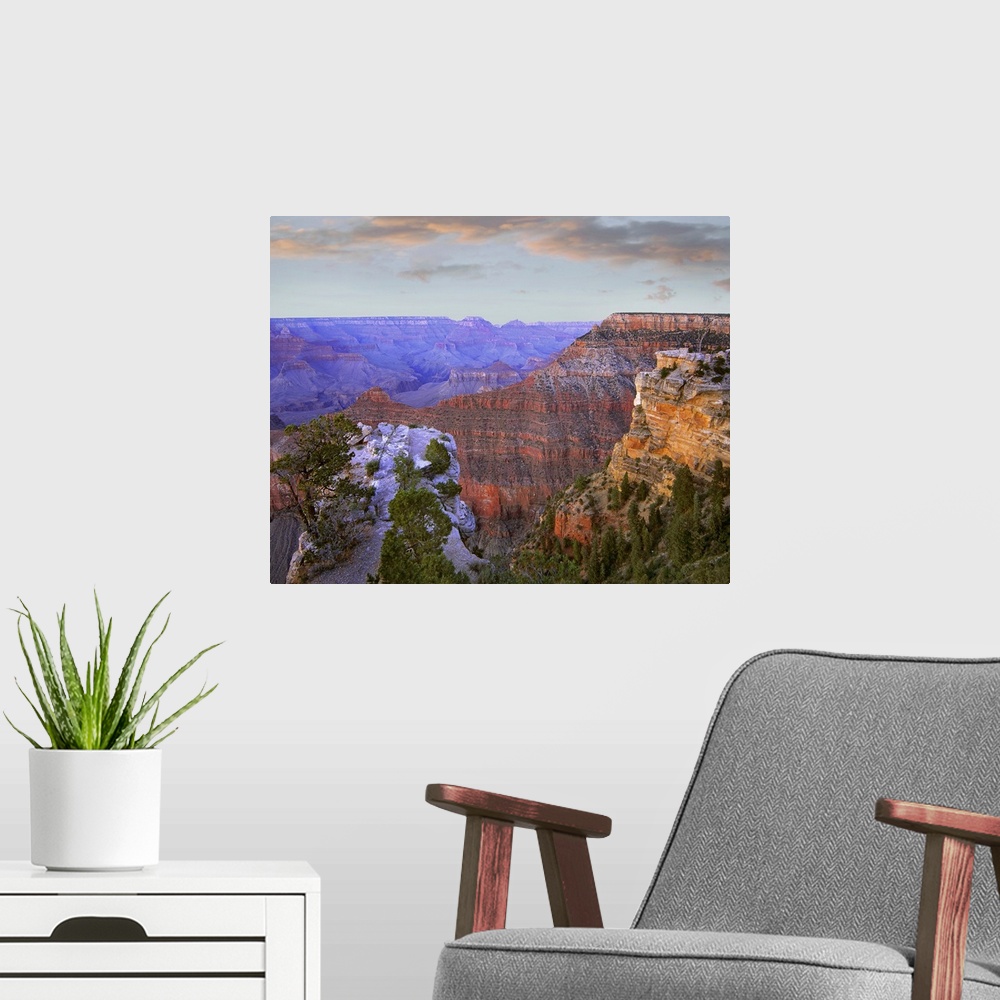A modern room featuring Photograph of gorge under a cloudy sky with tree tops in foreground.