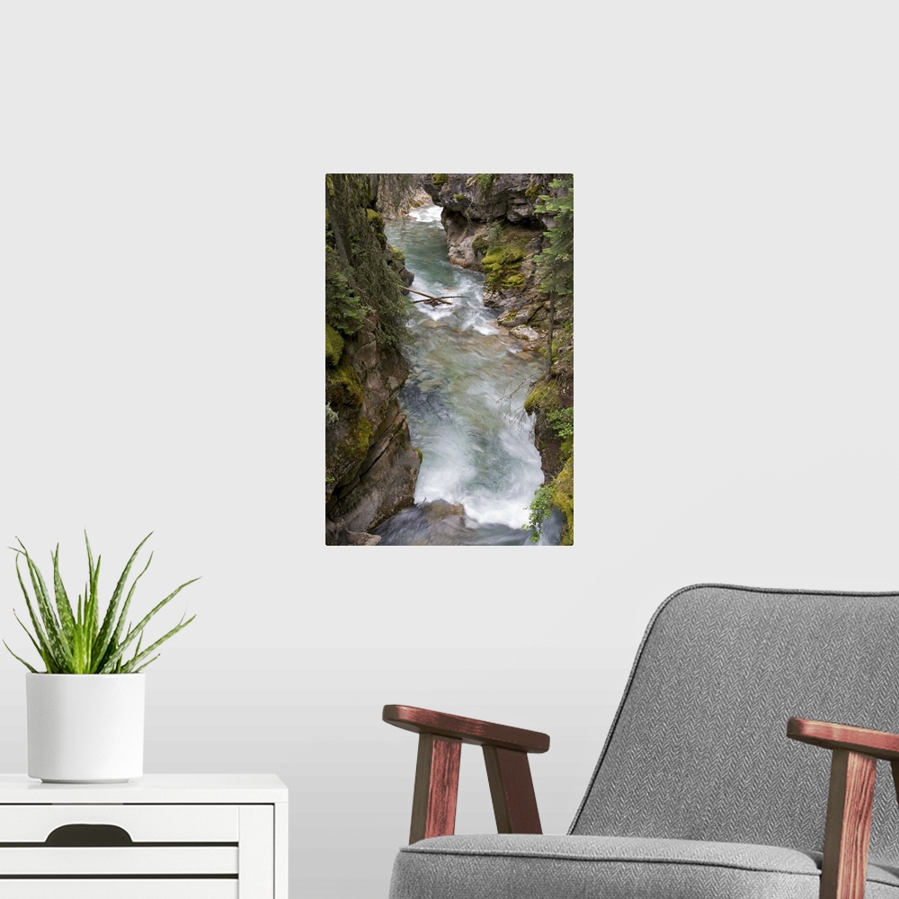 A modern room featuring Yoho River flowing through chasm, Yoho National Park, British Columbia, Canada