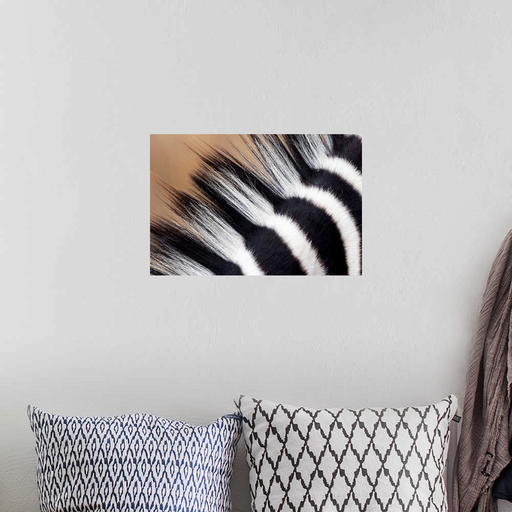 A bohemian room featuring A very close up photograph of just the mane on a zebra.