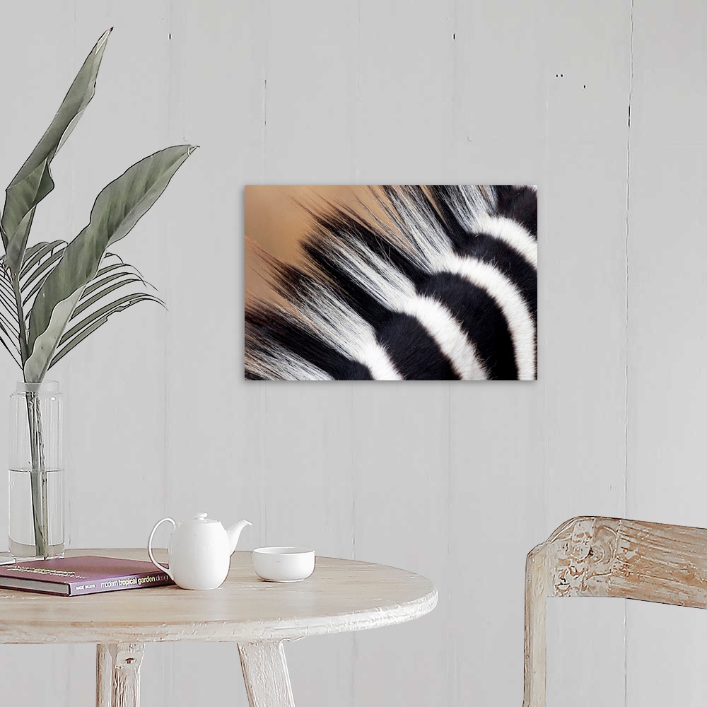 A farmhouse room featuring A very close up photograph of just the mane on a zebra.