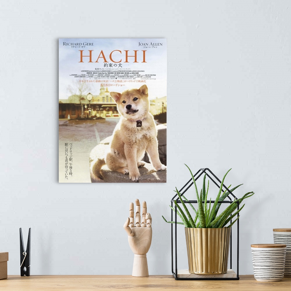 A bohemian room featuring This heartwarming true story is an American adaptation of a Japanese tale about a loyal dog named...