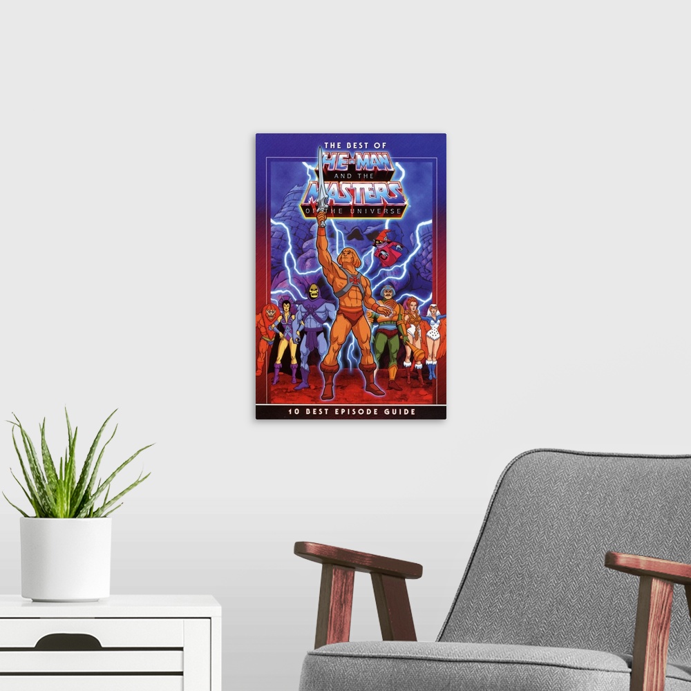 A modern room featuring He Man and the Masters of the Universe (TV) (1983)