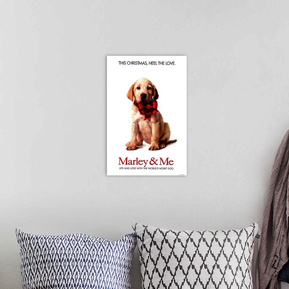A bohemian room featuring A family learns important life lessons from their adorable, but naughty and neurotic dog.