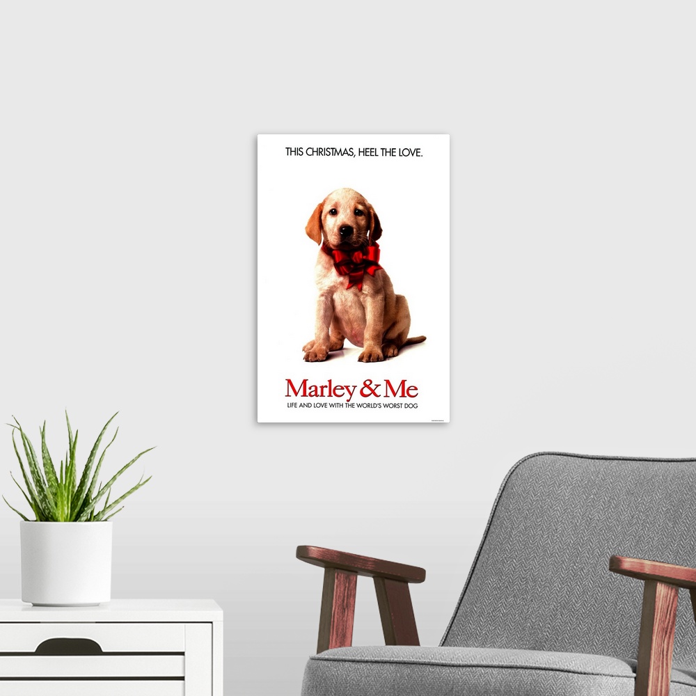 A modern room featuring A family learns important life lessons from their adorable, but naughty and neurotic dog.