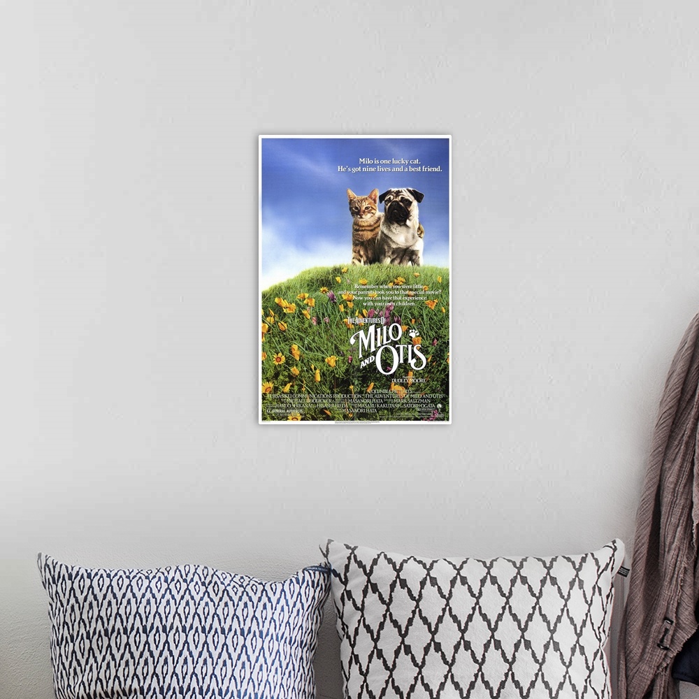 A bohemian room featuring Charming tale of a kitten named Milo and his best friend, a puppy named Otis. The two live on a f...