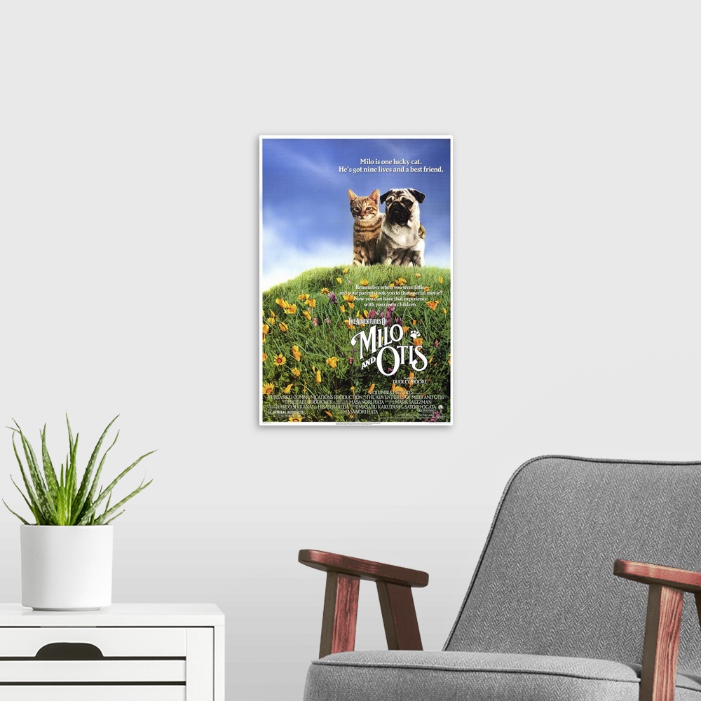 A modern room featuring Charming tale of a kitten named Milo and his best friend, a puppy named Otis. The two live on a f...