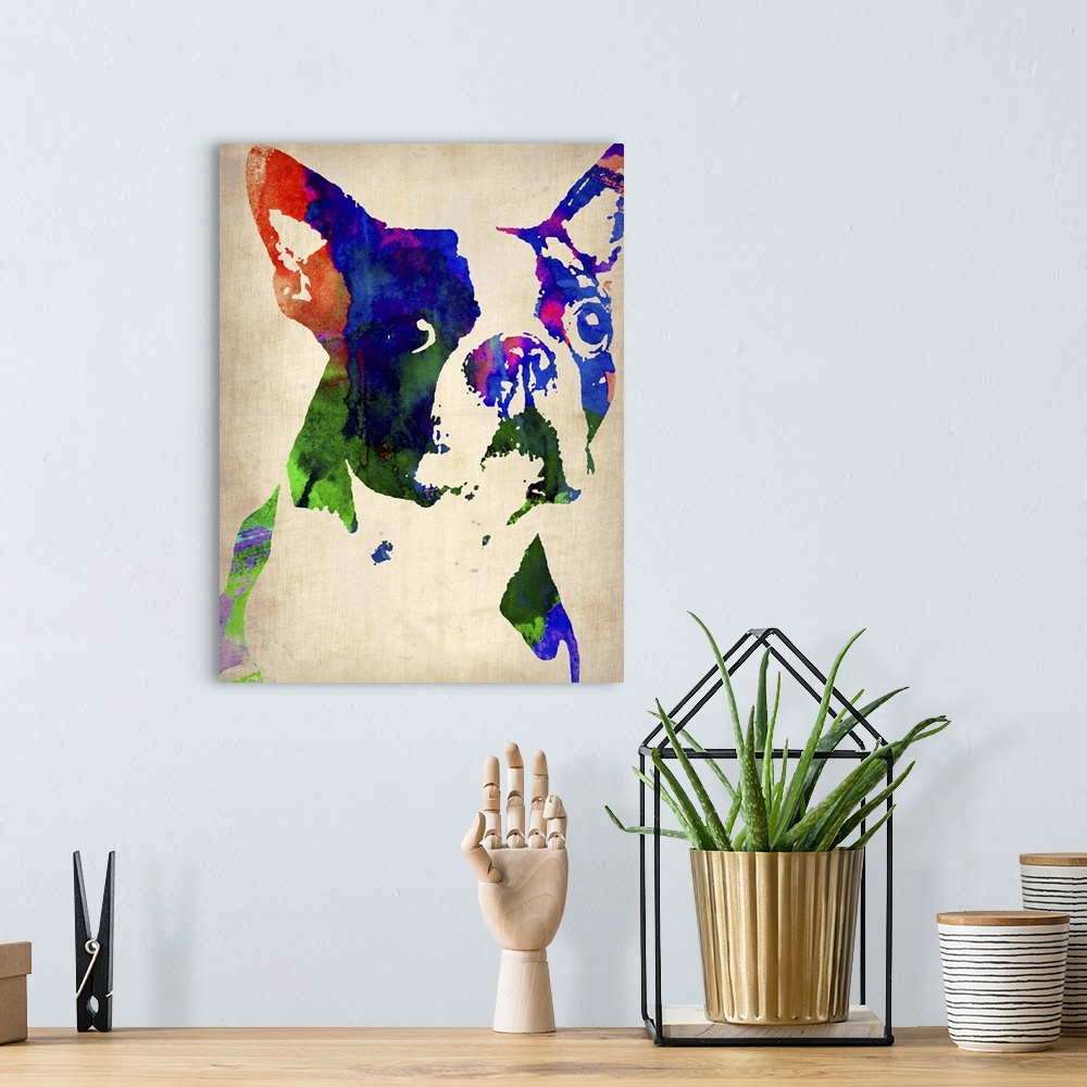 A bohemian room featuring Boston Terrier Watercolor